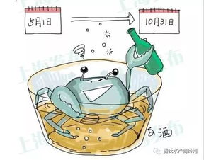 注意 上海市政府通告 禁止生产经营河蟹 鳌虾 贝类等多种水产品食品