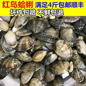 青岛特产鲜活蛤蜊花蛤贝壳类海鲜水产品花甲500g 4斤包邮