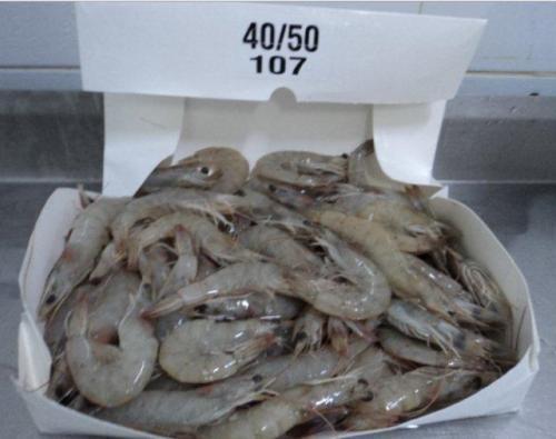 厄瓜多尔被查出 病毒虾 ,疫情期间的 外卖 有没有安全可言
