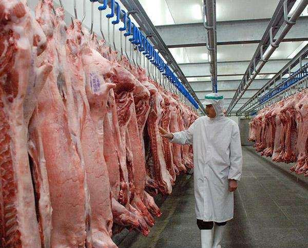 鲜肉放冷冻室保存多久不变质?